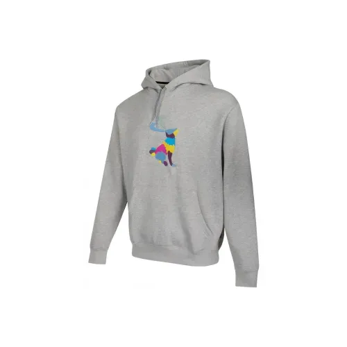 Nike Серый Мужской Свитшот