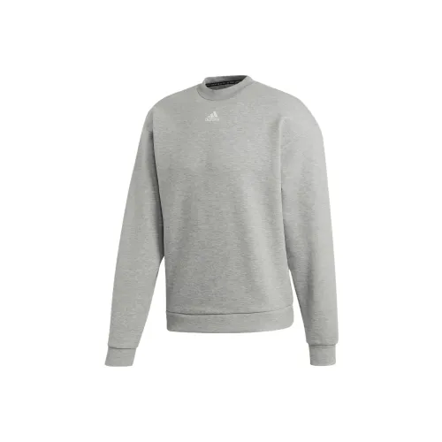 Adidas Толстовка Мужская Средняя Фотиния Серый