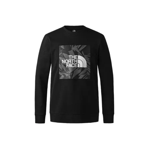 THE NORTH FACE Urban Exploration Свитшот Мужской Черный