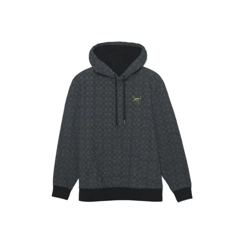 COACH FW22 Толстовка Мужской Серый