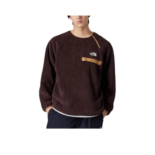THE NORTH FACE Толстовка Мужская Коричневая