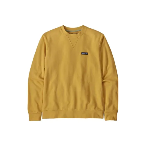 Patagonia Мужские Свитшоты