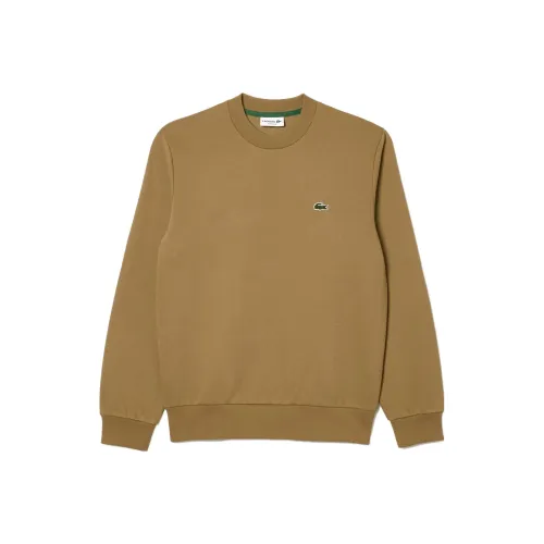 LACOSTE Collaboration Коричневый Мужской Свитшот