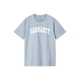 Тёмный Ледяной