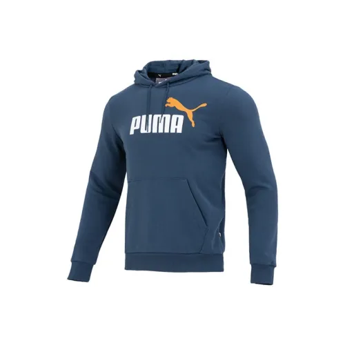 PUMA Павлиний Зеленый Мужской Свитшот
