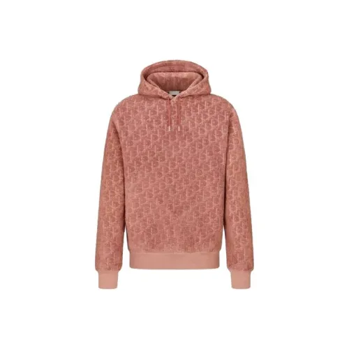 DIOR SS23 Толстовка Мужской Бобовый Розовый