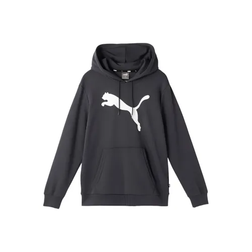 PUMA Толстовка Мужская Galaxy Gray