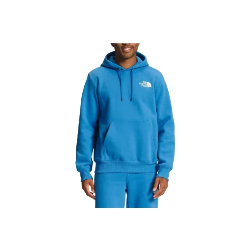 THE NORTH FACE Синий Мужской Свитшот