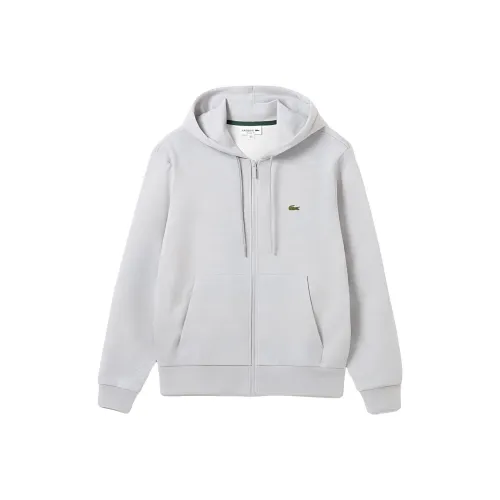 LACOSTE Collaboration CCA/Серебристо-серый Мужские Свитшоты