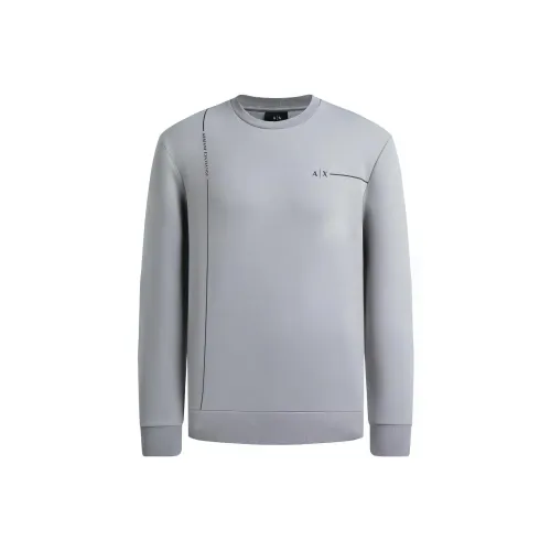 ARMANI EXCHANGEAE Свитшот Мужской Серый
