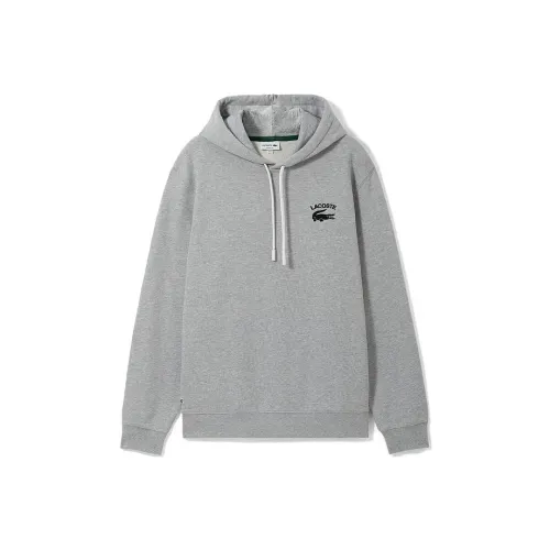 LACOSTE Collaboration Светло-серый Мужские Свитшоты