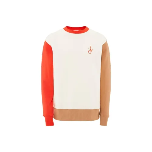 JW Anderson Многоцветные Мужские Свитшоты