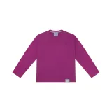 Дикая астра