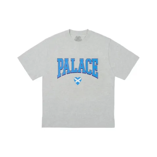 Дворцовый FW24 Вересковый серый Унисекс T Рубашки