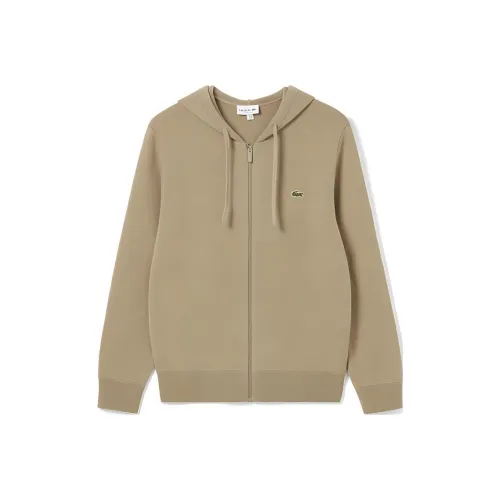 LACOSTE CB8/CAMEL Мужские Свитшоты