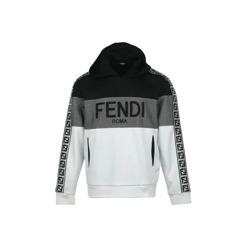 FENDI Многоцветные Мужские Свитшоты