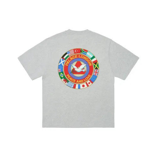 Дворцовый FW24 Серый Унисекс T Рубашки