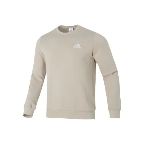 Adidas Хаки Мужские Свитшоты