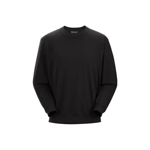 Arcteryx Мужские Свитшоты