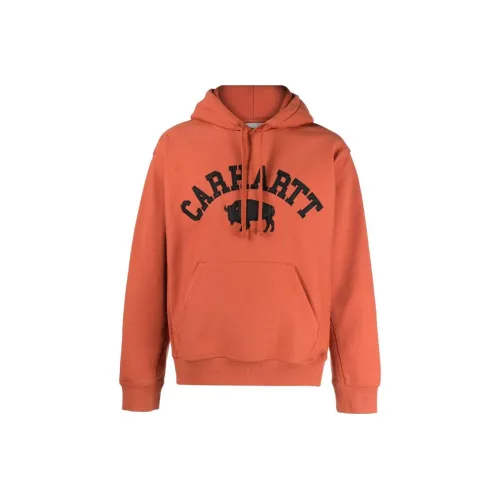 Carhartt WIP Orange Мужские Свитшоты