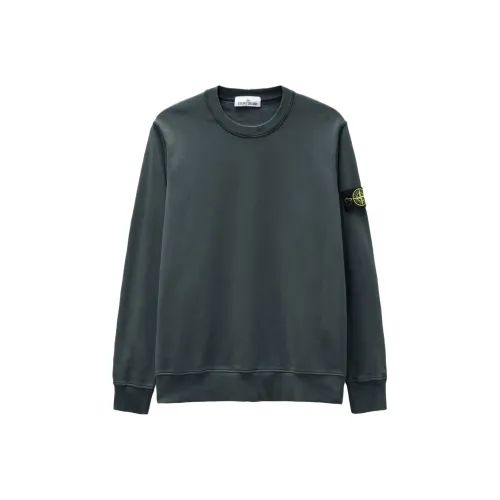 STONE ISLAND Свинцово-серый Мужской Свитшот