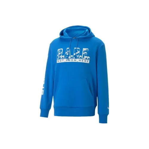 PUMA Синий Мужской Свитшот