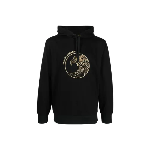 ARMANI EXCHANGEAE SS23 Свитшот Мужской Черный