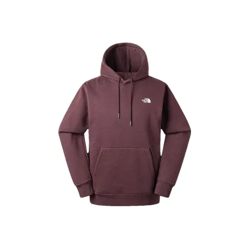 The North Face Камея Коричневая Унисекс Свитшоты