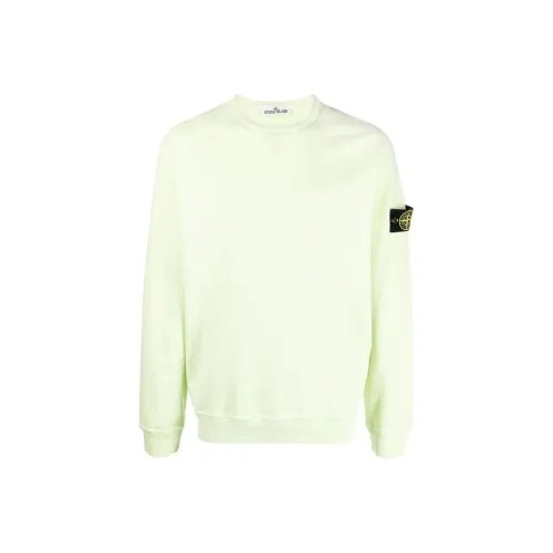 Stone Island Светло-зеленый Мужские Свитшоты
