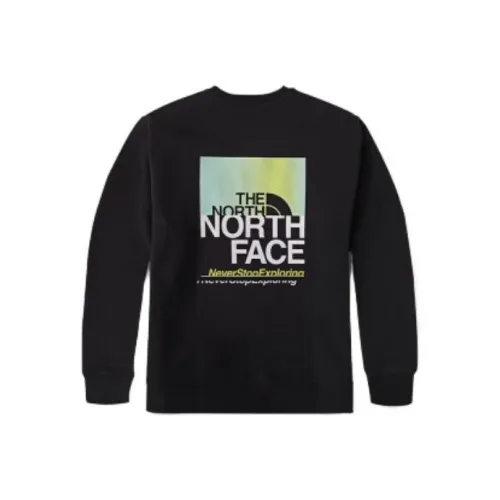 THE NORTH FACE Толстовка Унисекс Черный