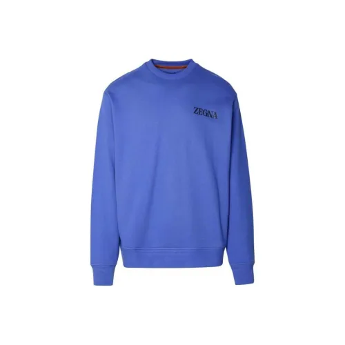 Ermenegildo Zegna Blue Men's Sweatshirts Эргенжильдо Зегна Синий Мужской Свитшот