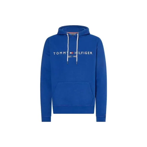 Tommy Hilfiger Royal Blue Мужские Свитшоты