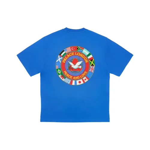 Дворцовый FW24 Черника Унисекс Т-рубашка