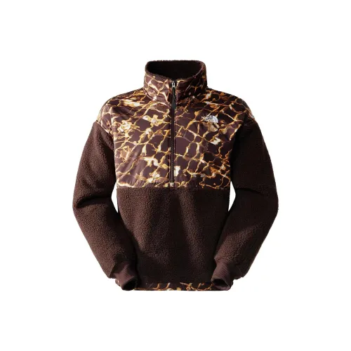 THE NORTH FACE Коричневый Мужской Свитшот