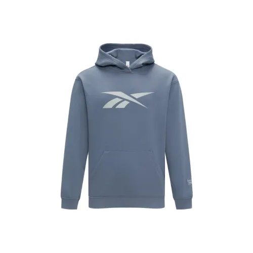 Reebok Синий Унисекс Свитшоты