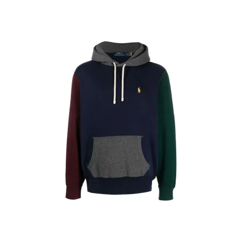 Polo Ralph Lauren Морской Синий Мужские Свитшоты