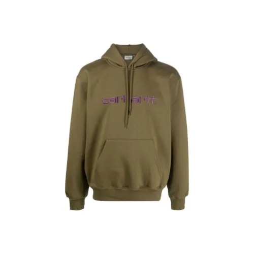 Carhartt WIP Зеленый Мужской Свитшот