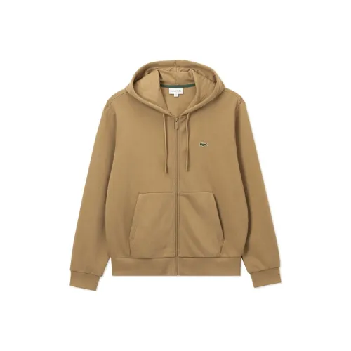LACOSTE Collaboration Печенье Цвет Мужские Толстовки