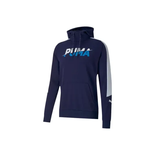 PUMA Твидовый синий Мужской Свитшот