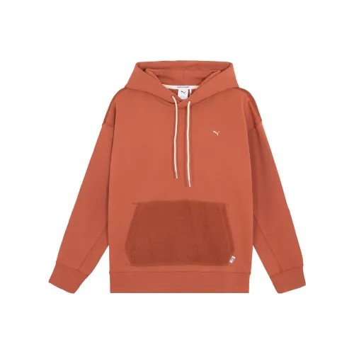 PUMA Фрукты Vinegar Коричневый Унисекс Свитшоты