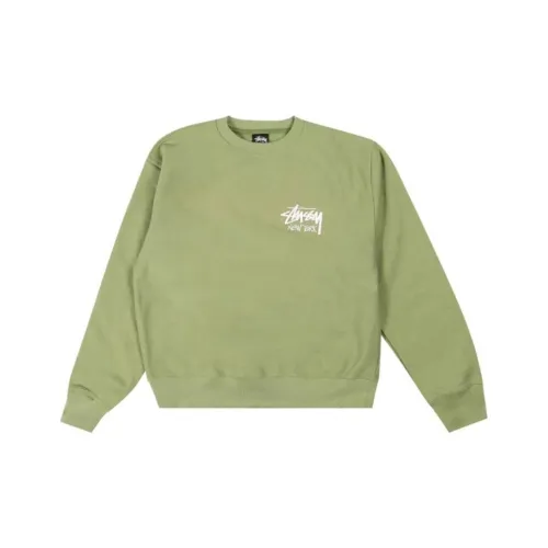 Stussy Мужские Свитшоты