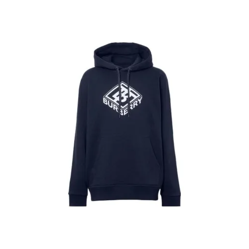 Burberry FW22 Толстовка Мужской Темно-синий