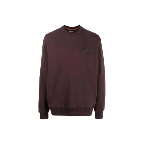 Ermenegildo Zegna Коричневый Мужской Свитшот