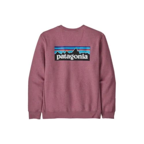 Patagonia Organic Мужские Свитшоты
