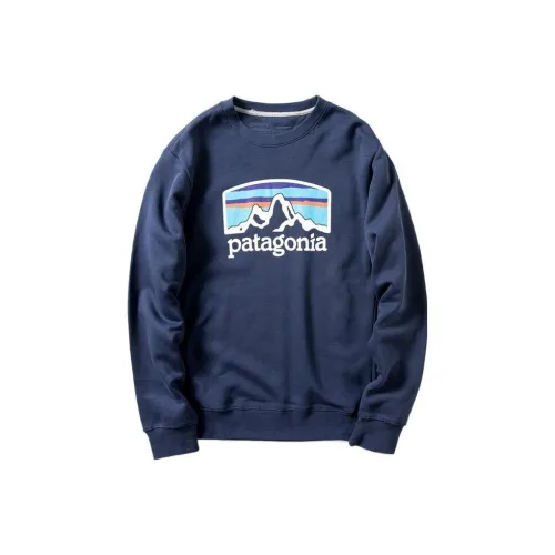 Толстовка Patagonia Fitz Roy Horizons Унисекс