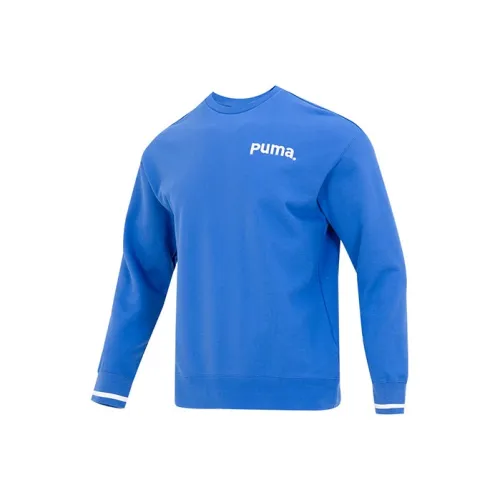 PUMA Синий Мужской Свитшот