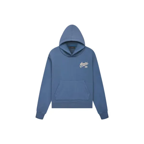 AMIRI Синий Мужской Свитшот