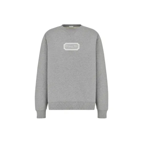 DIOR Серый Мужской Свитшот