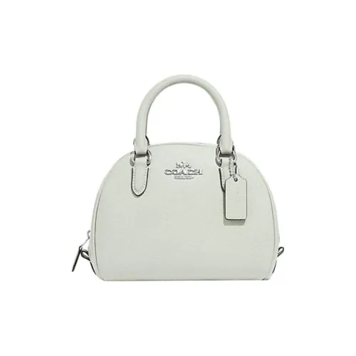 COACH Sydney Коровья кожа Сумка-купол Сумка через плечо Сумка Маленькая Женская Светло-зеленая