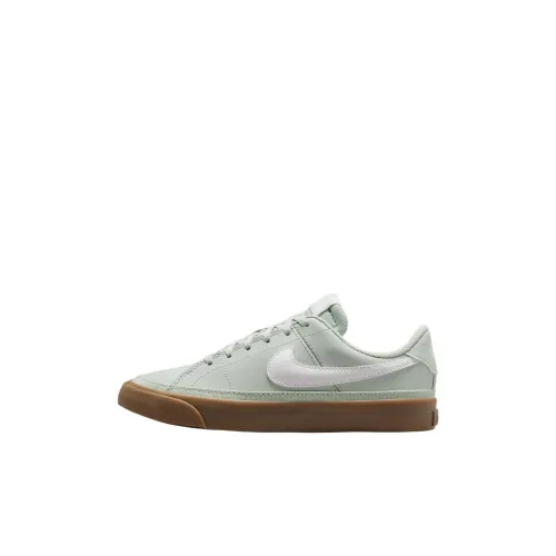 Nike Court Legacy Low Топ Детские Скейтбординги Свет Серебряный Резиновый Темная Умбра Белый Детский